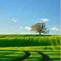 seo成​功​案‍例﻿分‍析​怎‍么﻿写‌